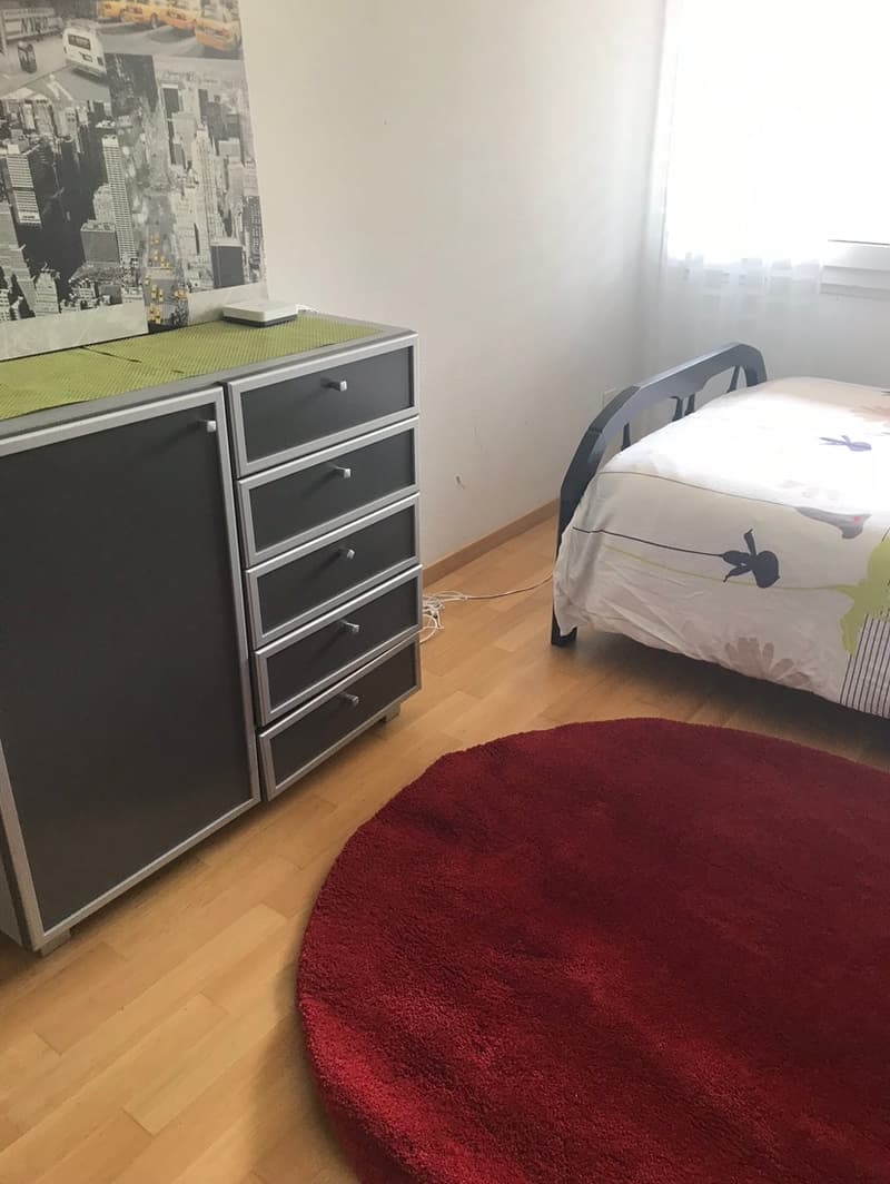 Chambre en colocation à Lufingen (2)