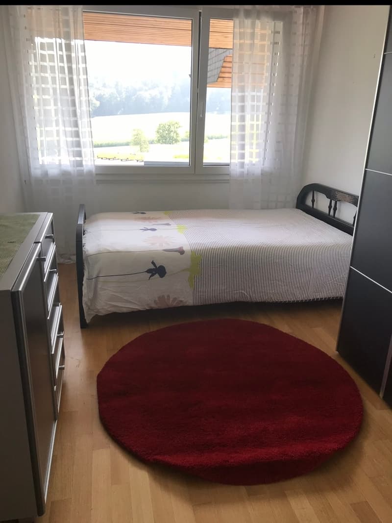 Chambre en colocation à Lufingen (3)
