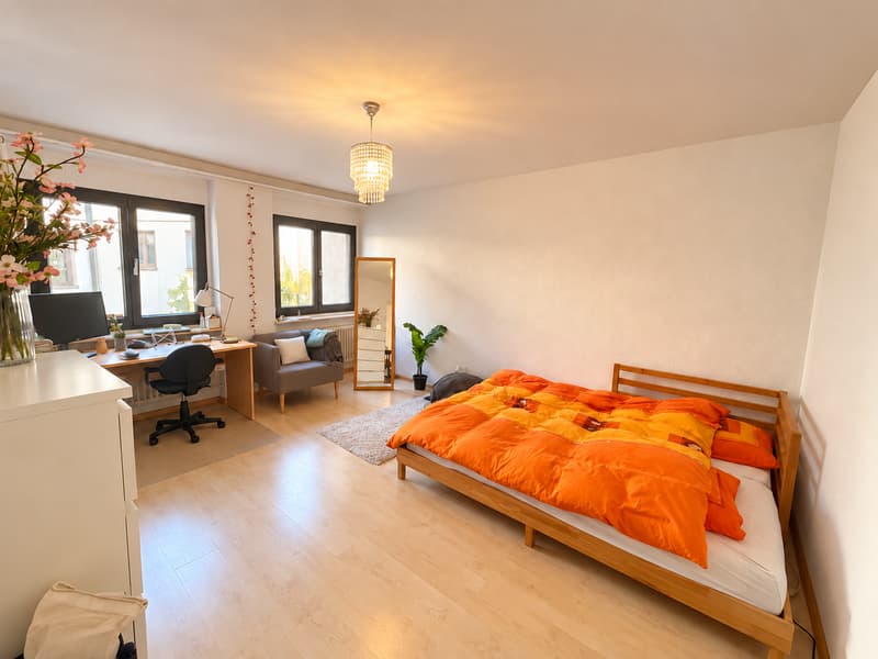 Chambre en colocation à Basel (3)