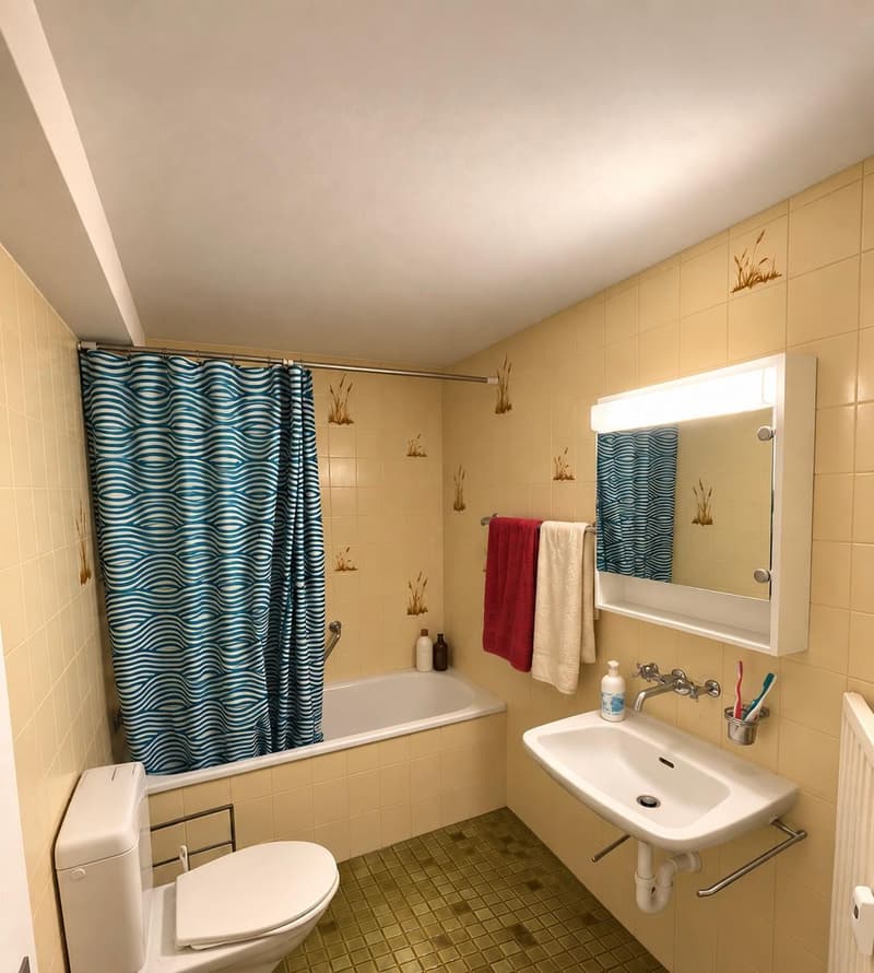 Chambre en colocation à Basel (10)