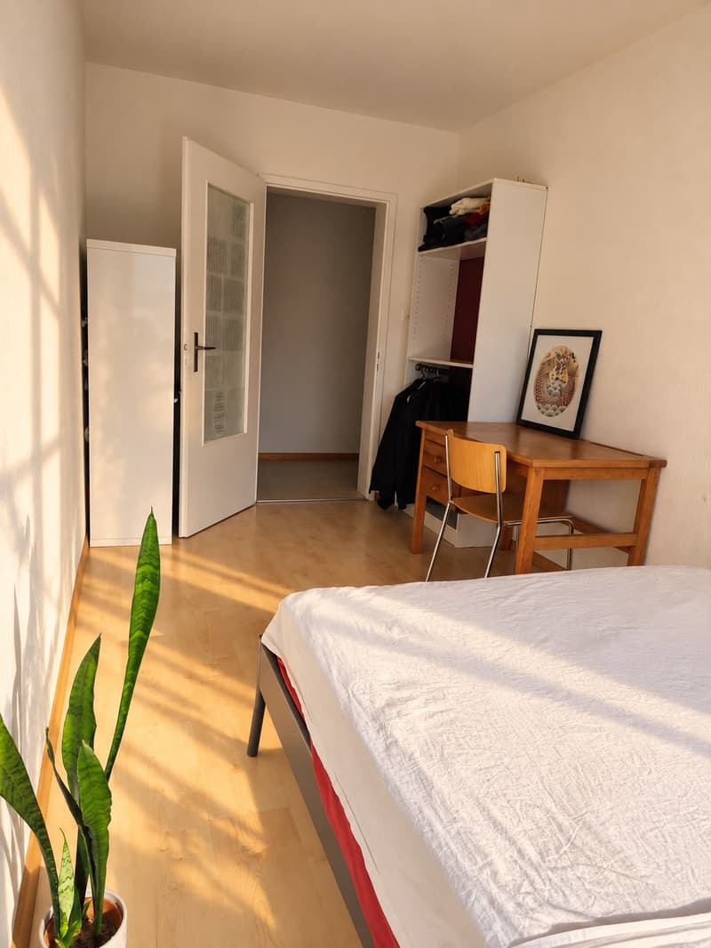 Chambre en colocation à Basel (6)