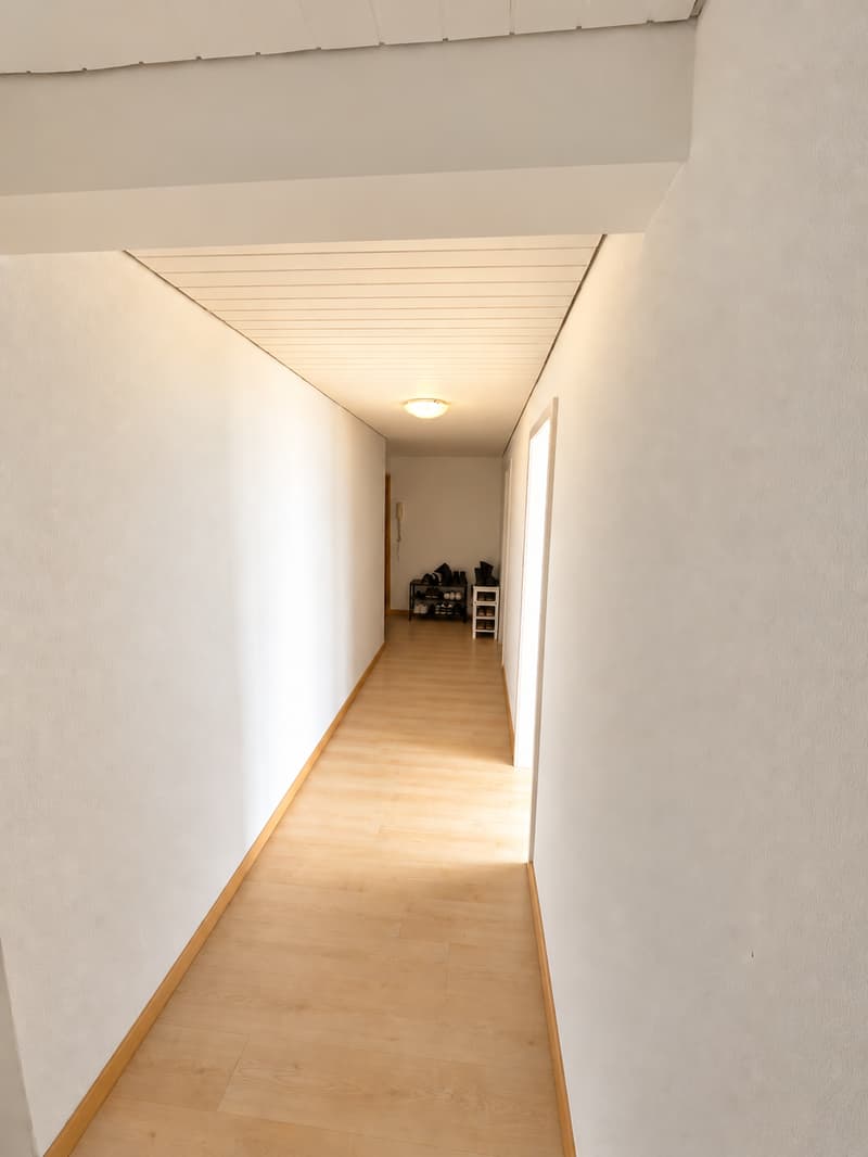 Chambre en colocation à Basel (11)