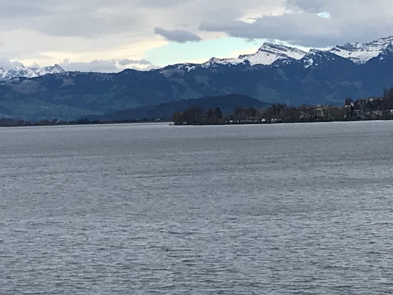 WG-Zimmer in Richterswil (5)