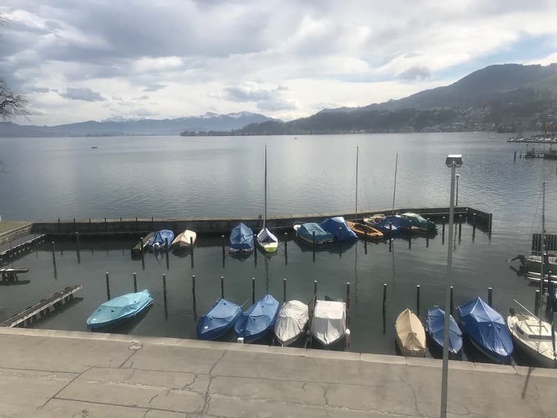 WG-Zimmer in Richterswil (4)