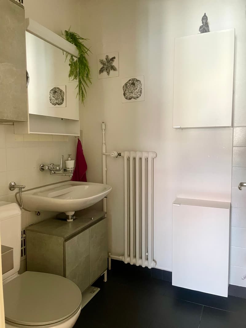 WG-Zimmer in Bern (7)