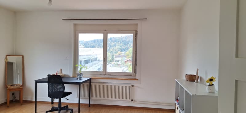 WG-Zimmer in Winterthur (2)