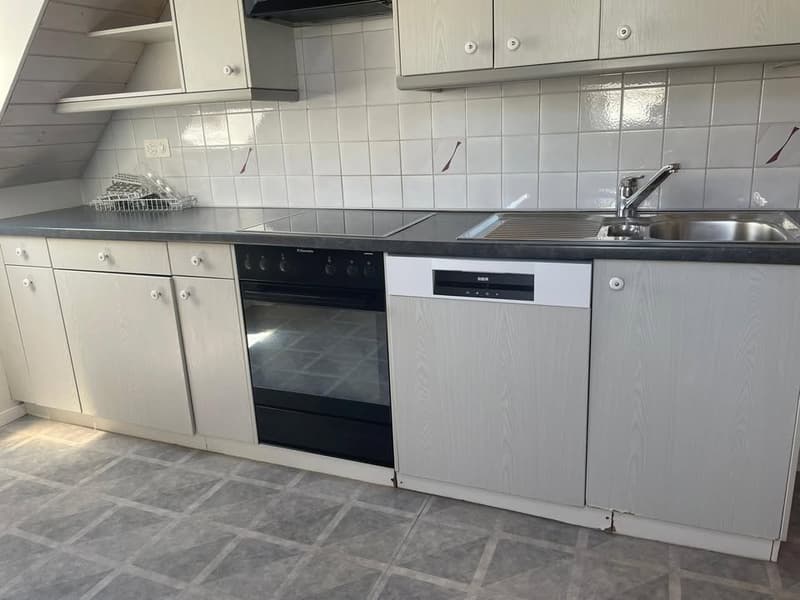 Möblierte Wohnung in Lausanne (7)