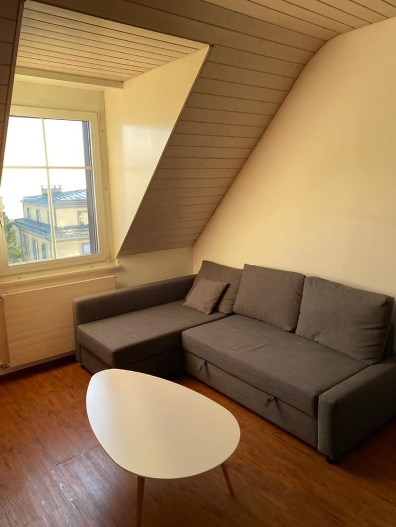 Möblierte Wohnung in Lausanne (10)