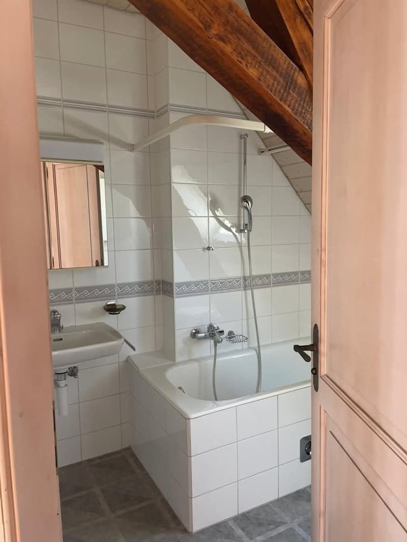 Möblierte Wohnung in Lausanne (4)