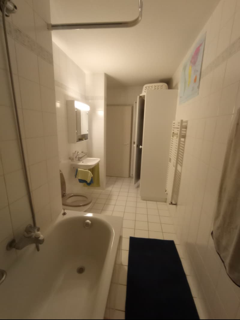 Chambre en colocation à Zürich (8)