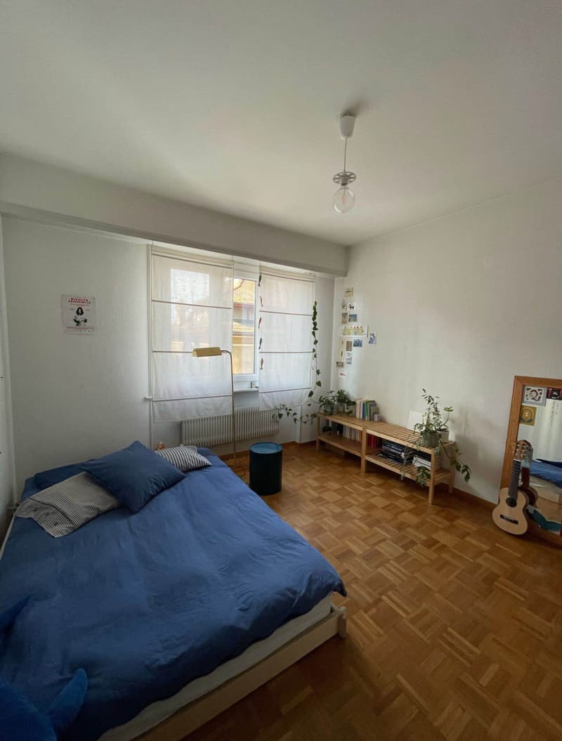 Chambre en colocation à Zürich (4)