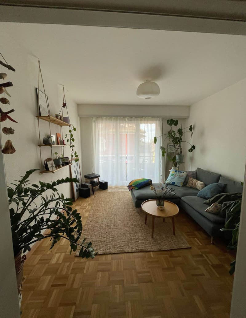 Chambre en colocation à Zürich (7)