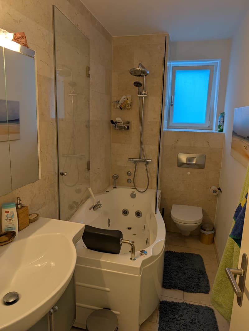 WG-Zimmer in Zürich (5)