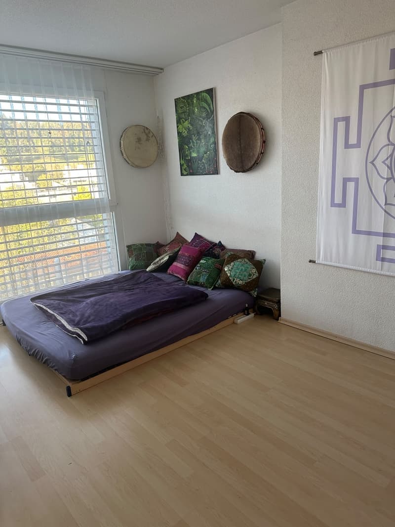 WG-Zimmer in Zürich (1)
