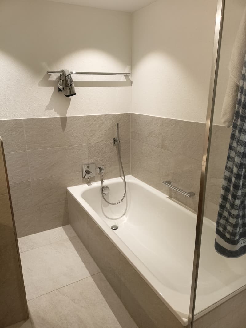WG-Zimmer in Walchwil (8)
