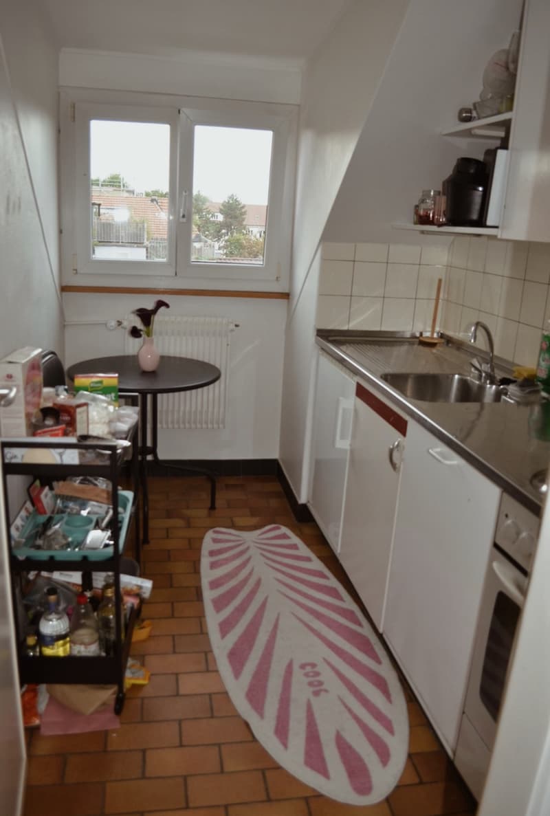 Furnished apartment in Bern (2)