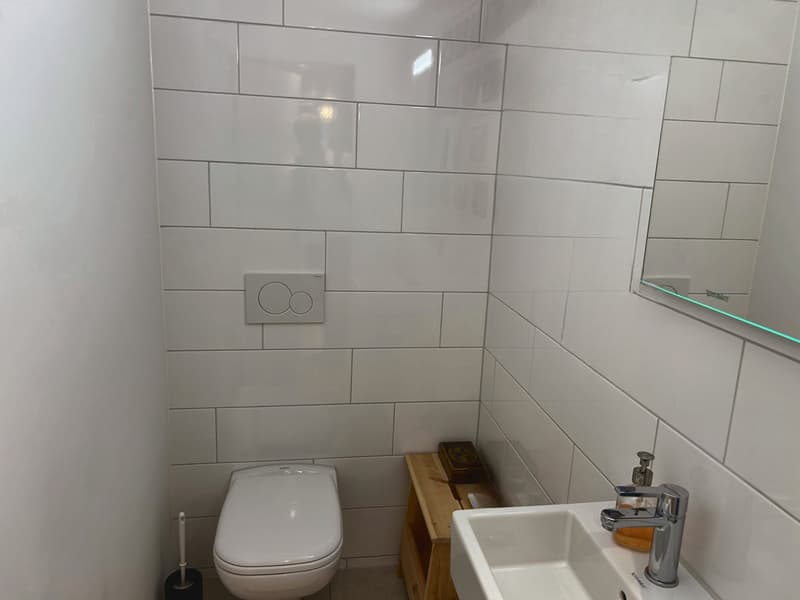 WG-Zimmer in Zürich (6)