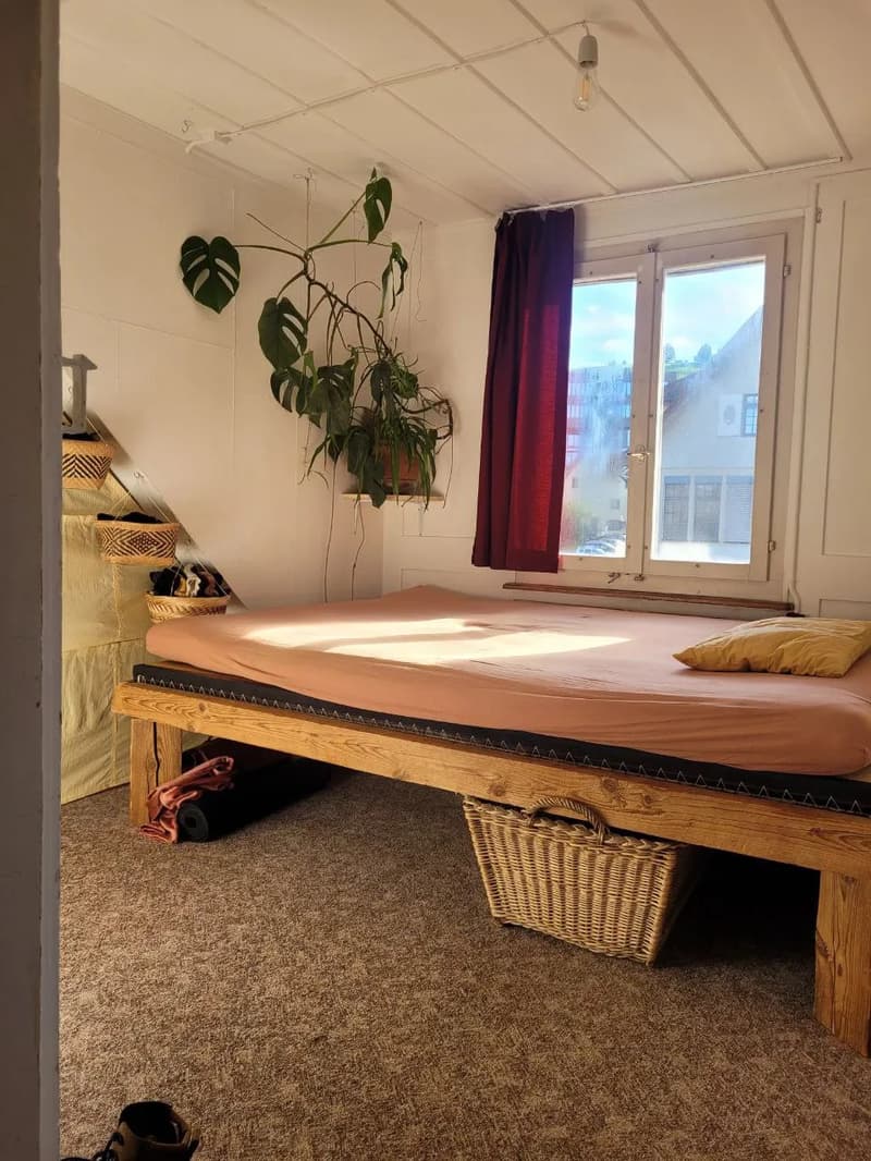 Wohnung in Wädenswil (1)