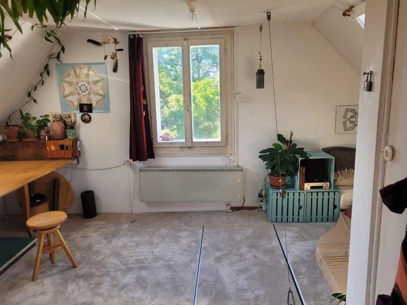 Wohnung in Wädenswil (6)