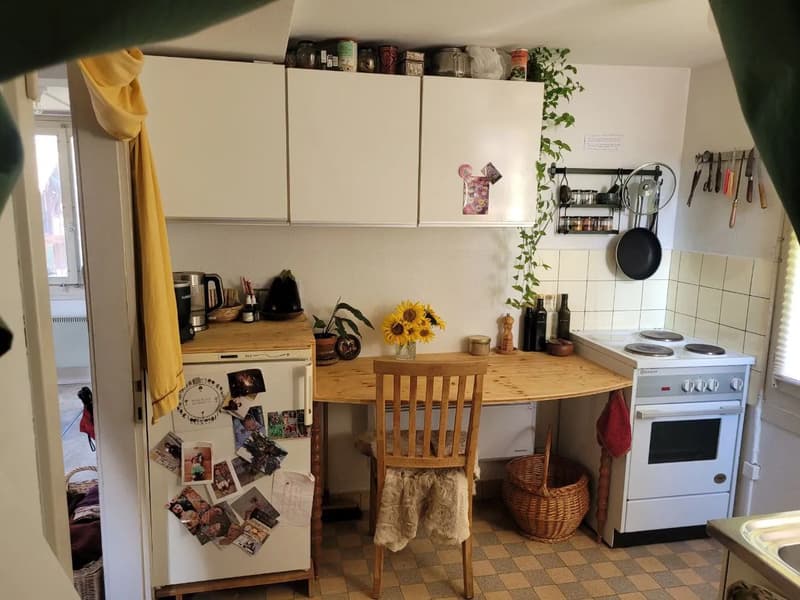 Wohnung in Wädenswil (3)