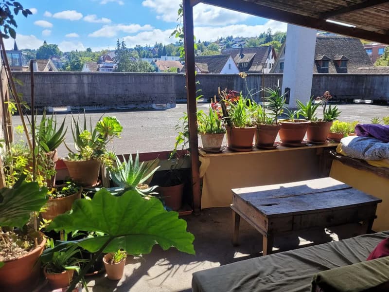 Wohnung in Wädenswil (7)