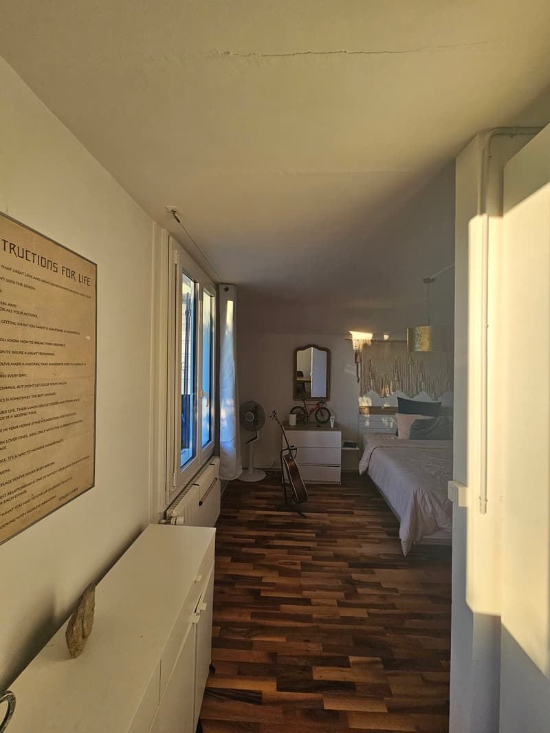 WG-Zimmer in Biel BE (3)