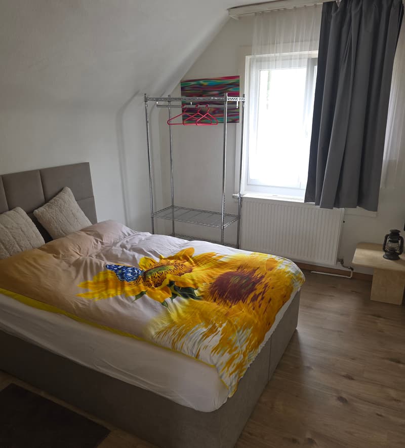 WG-Zimmer in Zurich (5)