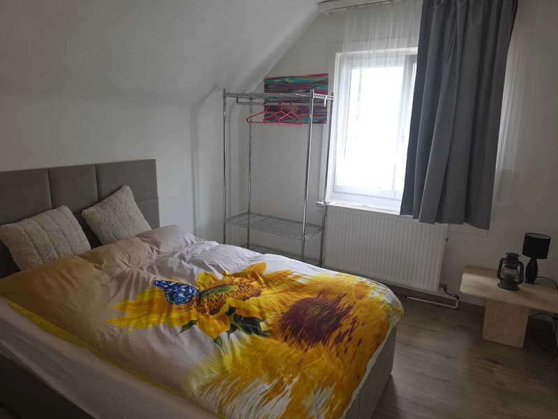 WG-Zimmer in Zurich (2)