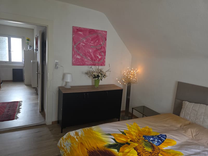 WG-Zimmer in Zurich (1)
