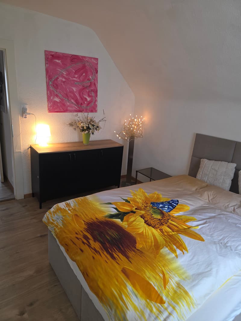 WG-Zimmer in Zurich (3)