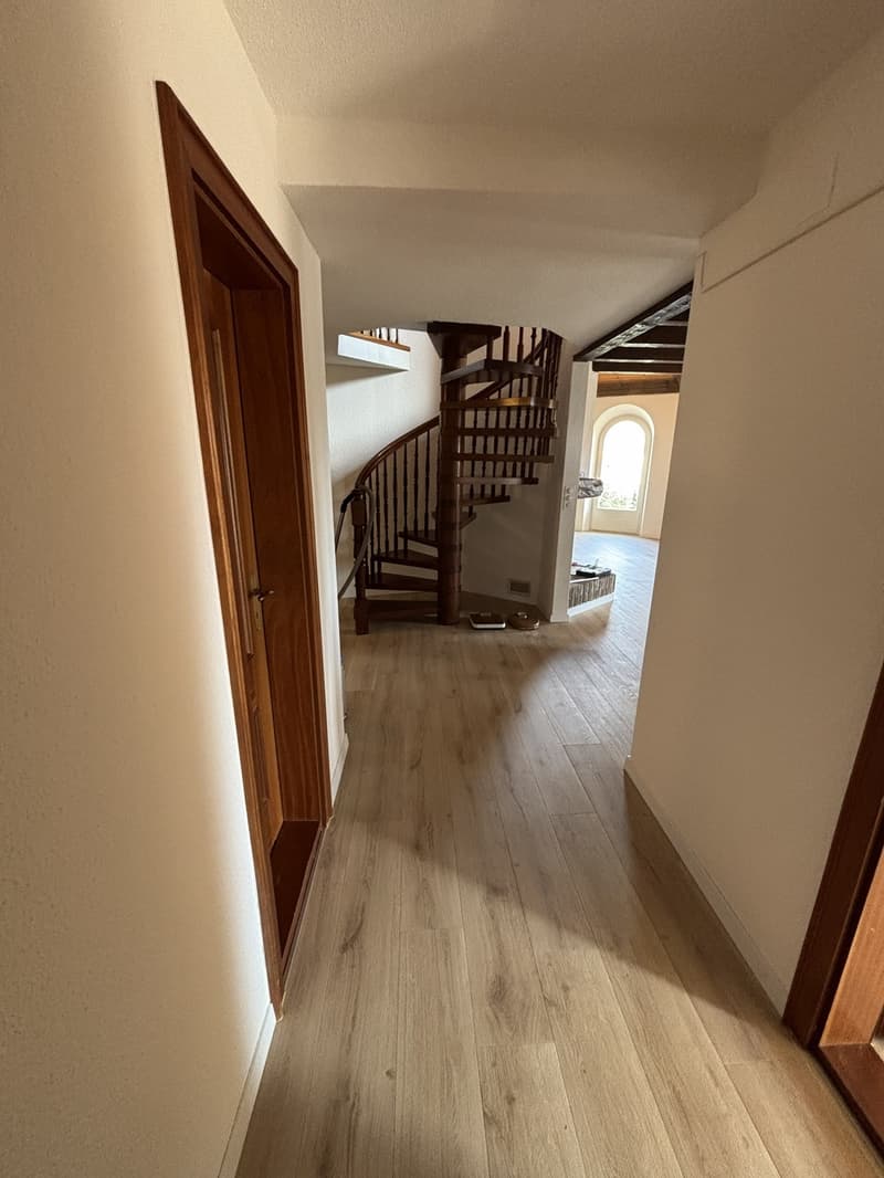 WG-Zimmer in Zürich (3)