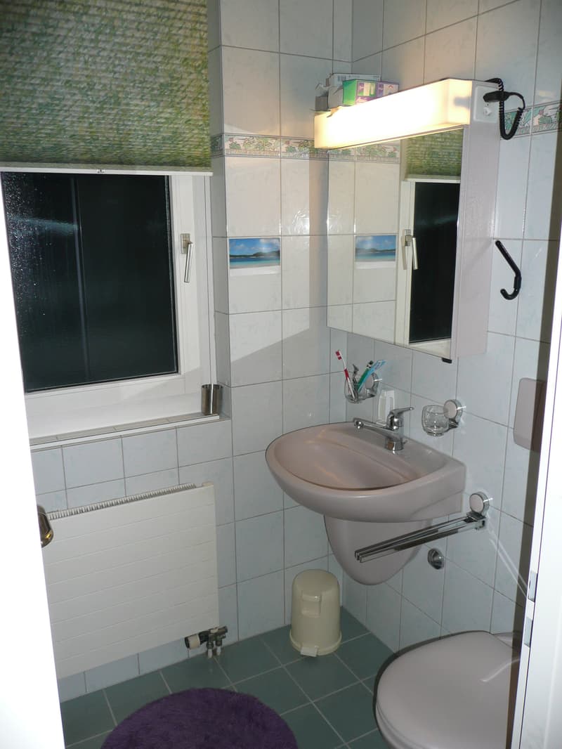 WG-Zimmer in Emmenbrücke (5)