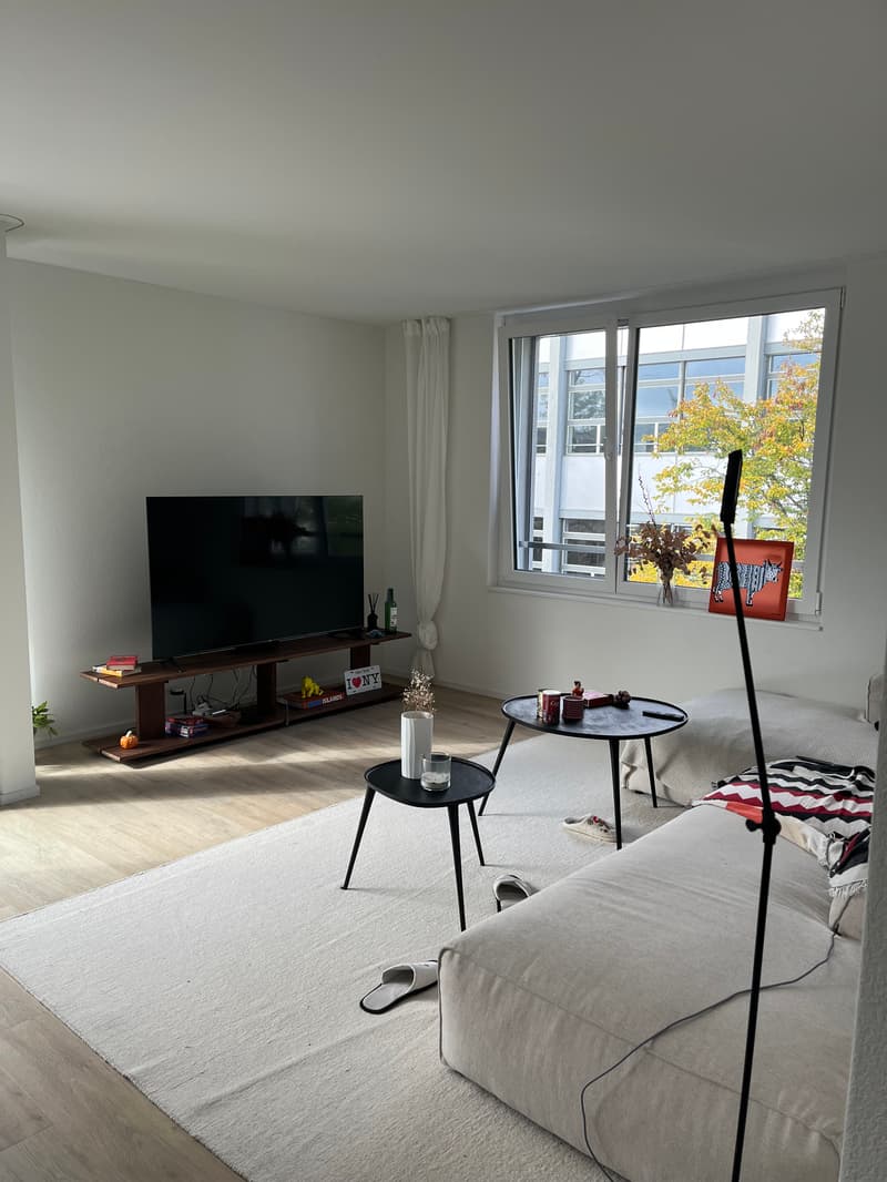 WG-Zimmer in Zürich (3)