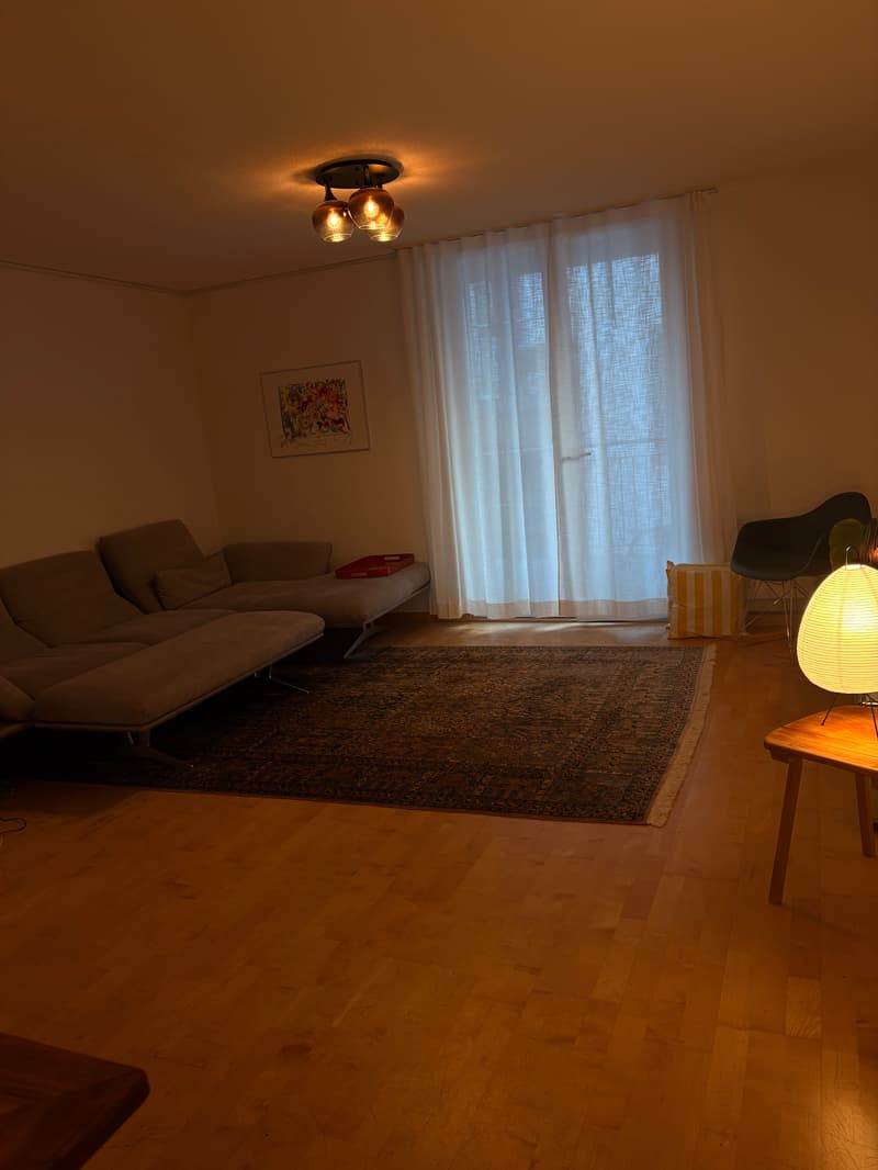 WG-Zimmer in Zurich (2)
