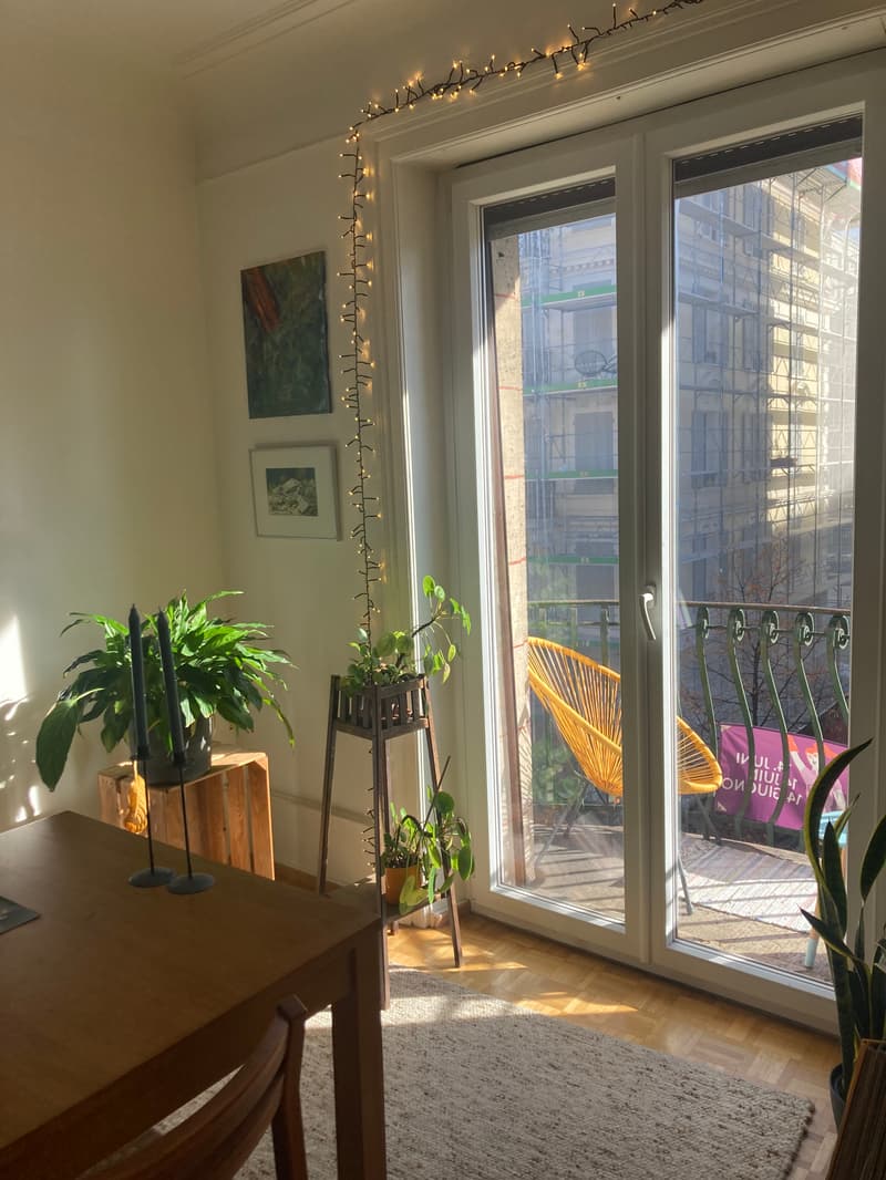 Chambre en colocation à Lausanne (4)