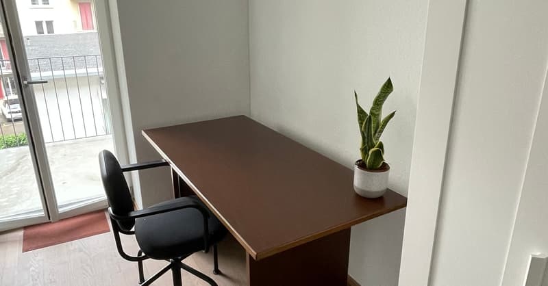 Möblierte Wohnung in Zürich (5)