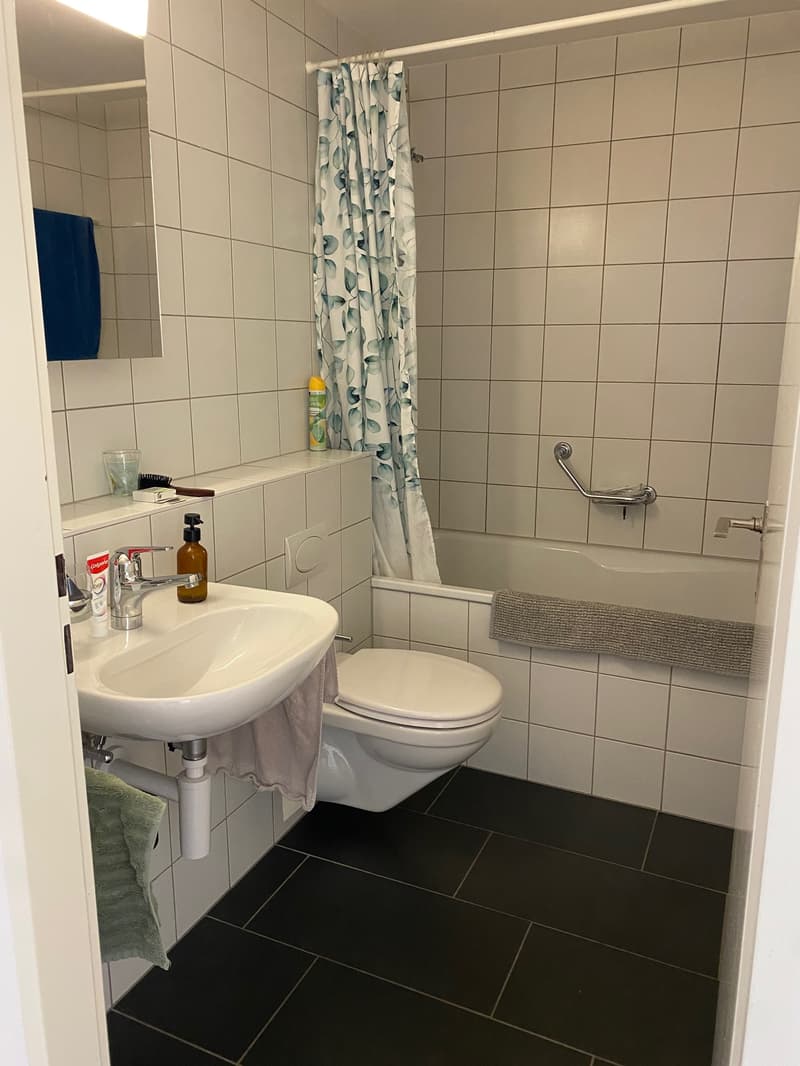 Room in shared flat in Basel (7)