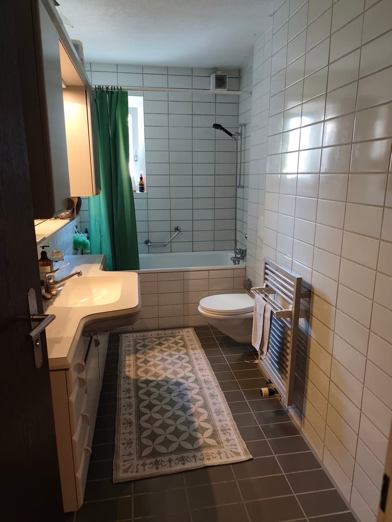 WG-Zimmer in Zürich (6)
