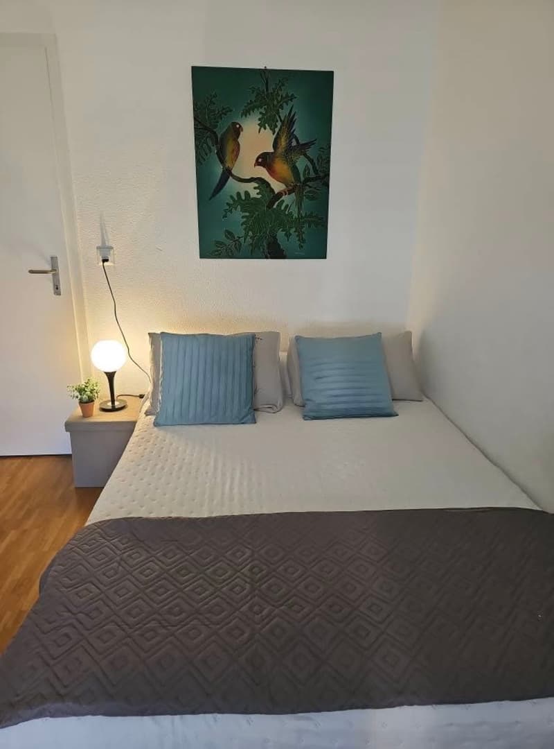 Sam Da Colorare Camera in condivisione a Ecublens VD, Route du Bois, CHF 990
