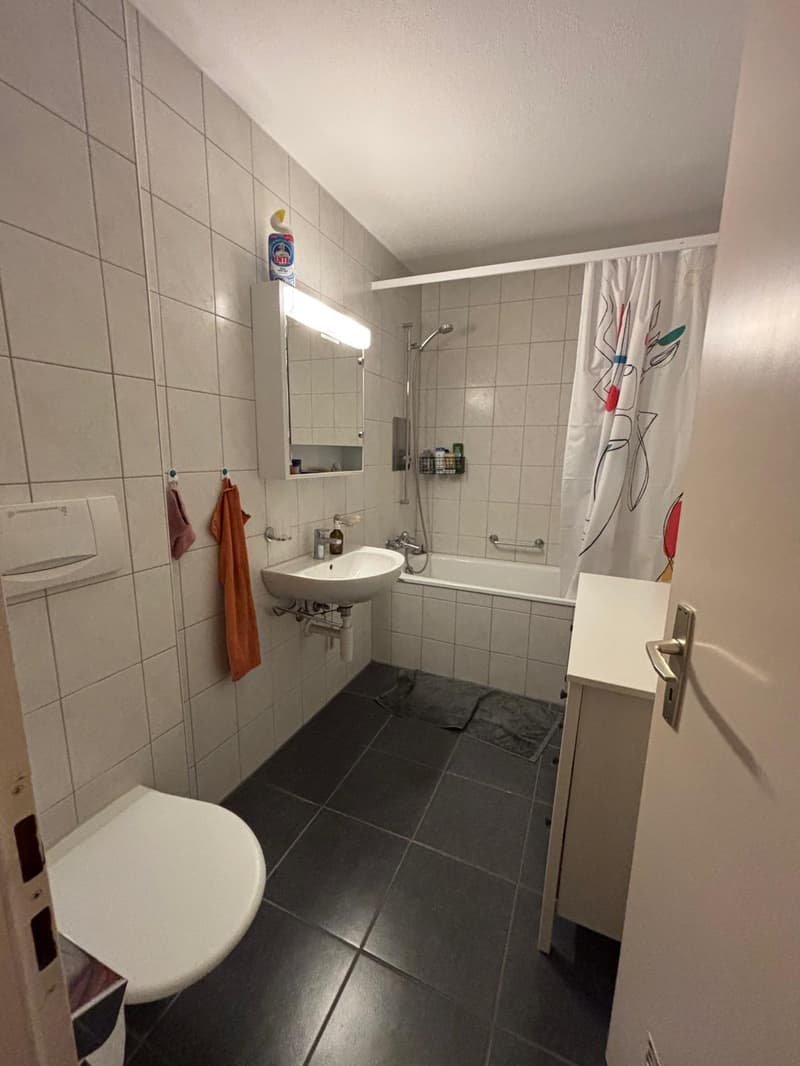 WG-Zimmer in Winterthur (7)