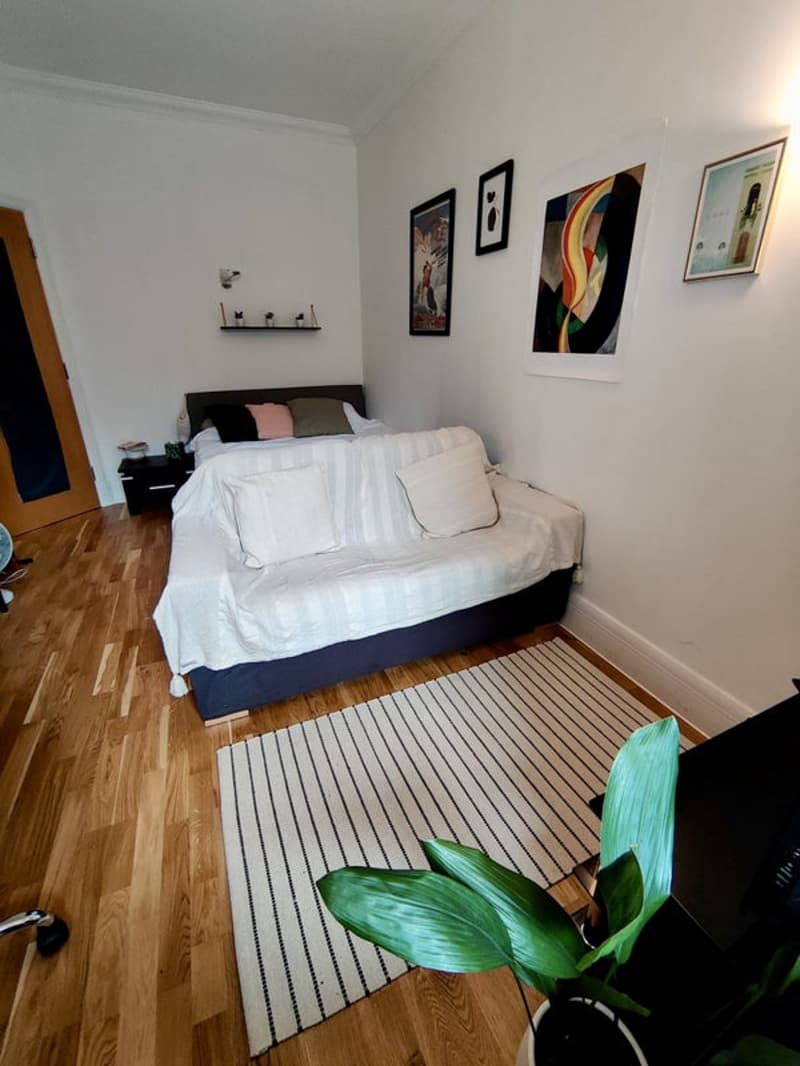 Room in shared flat in Genève (4)