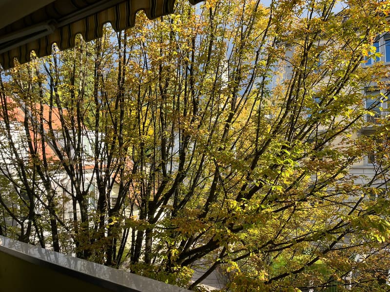 WG-Zimmer in St. Gallen (5)