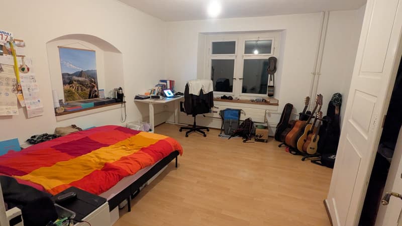 Room in shared flat in Meilen (1)