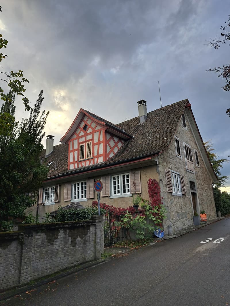 Room in shared flat in Meilen (3)