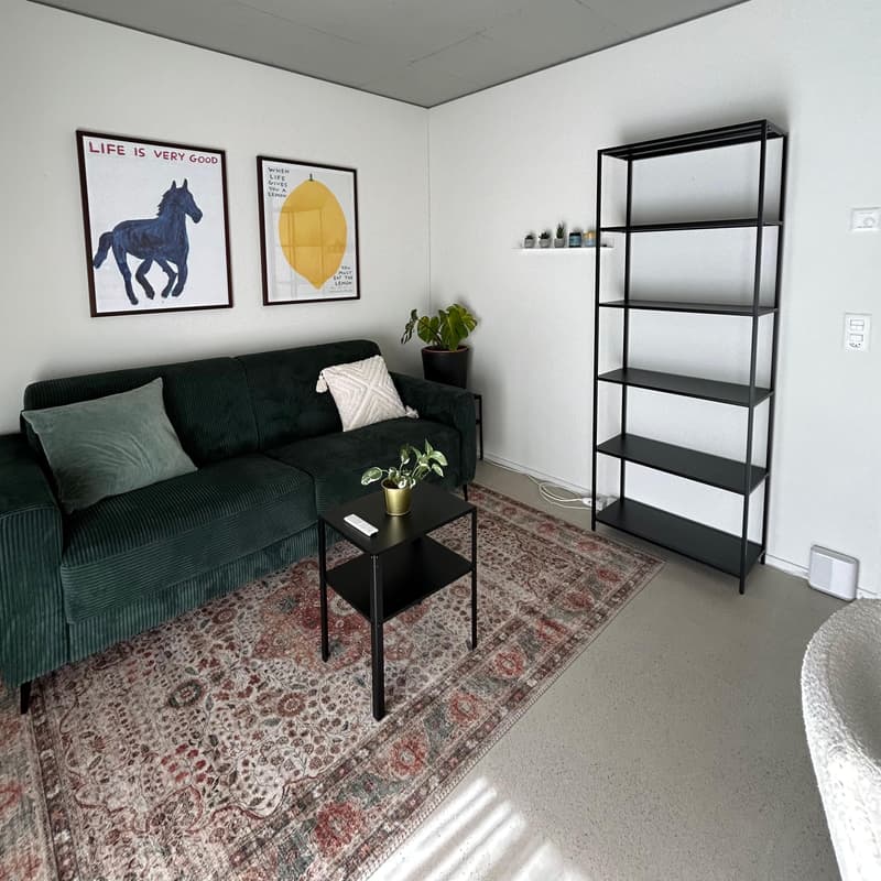 WG-Zimmer in Luzern (2)