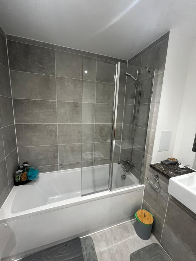 Room in shared flat in Basel (1)