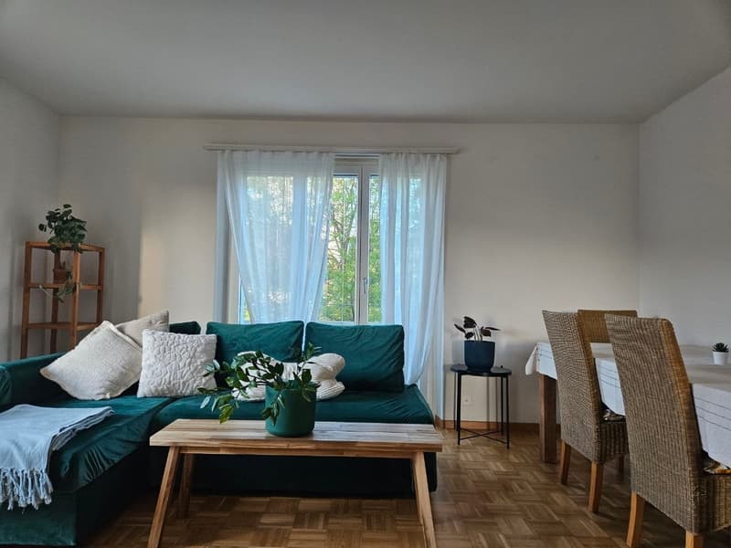 WG-Zimmer in Zürich (5)