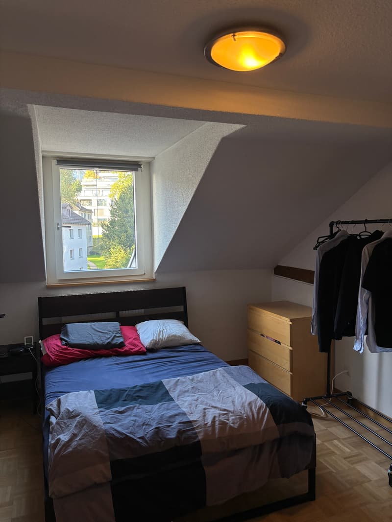 Room in shared flat in St. Gallen (2)