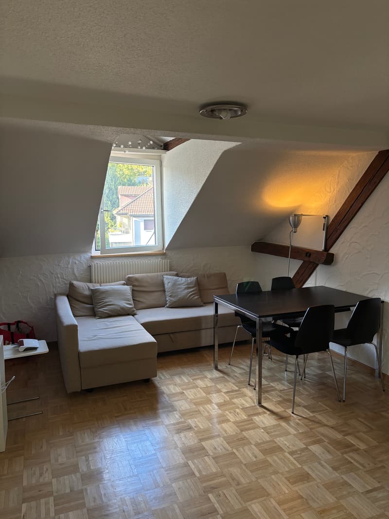 Room in shared flat in St. Gallen (4)