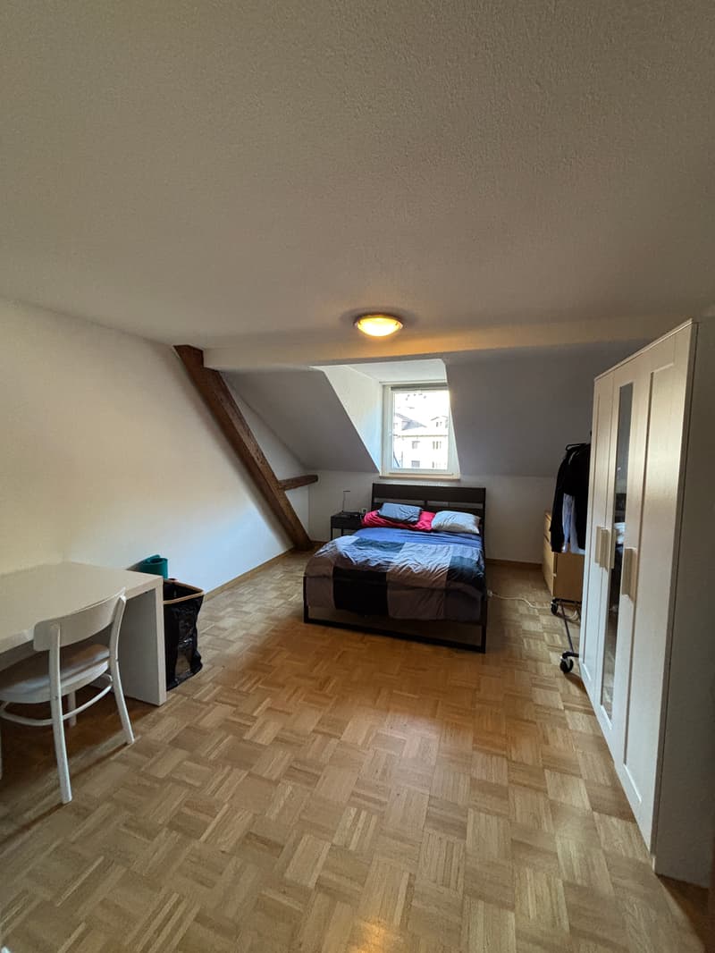 Room in shared flat in St. Gallen (1)